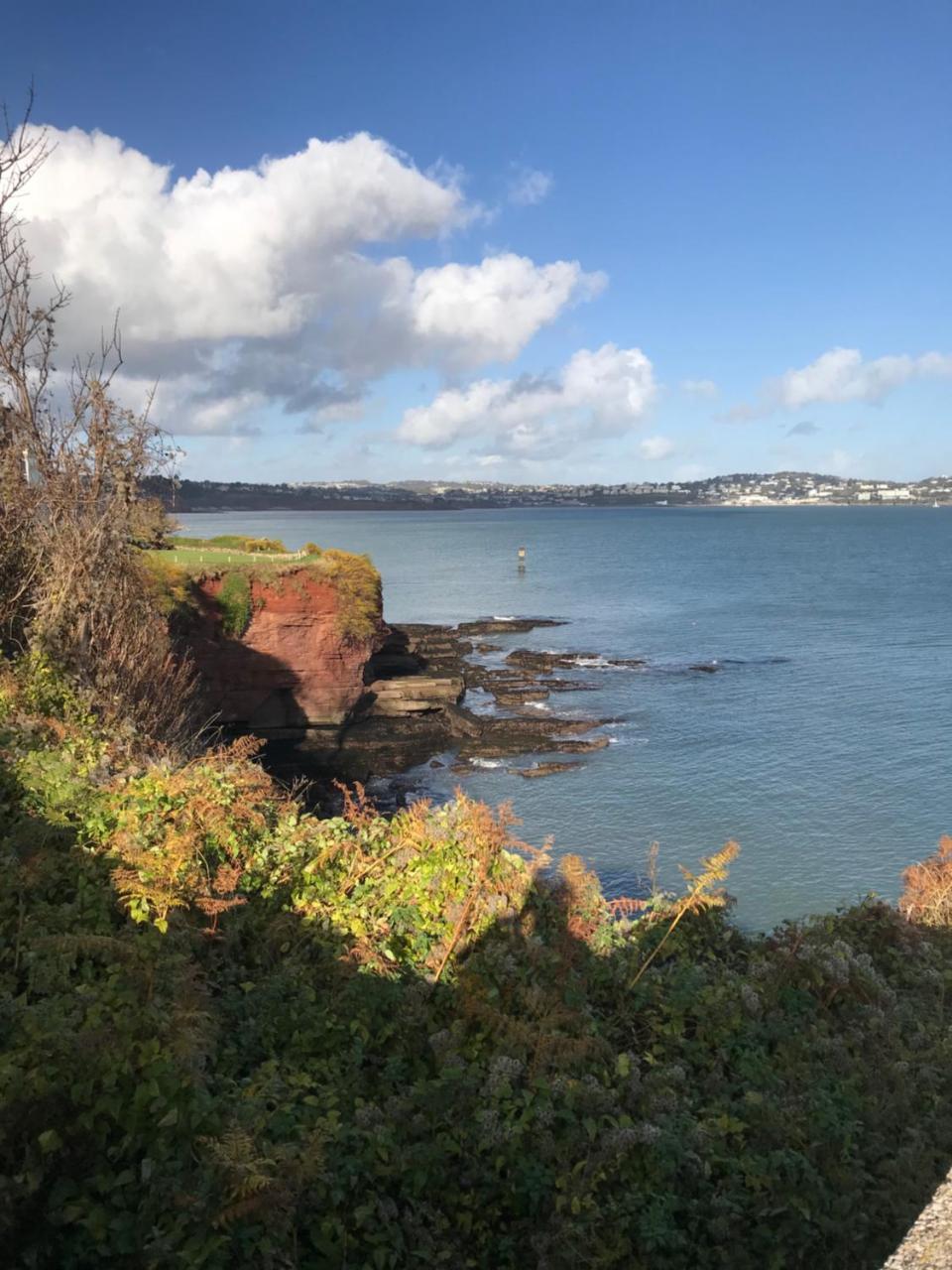 Elmdene Hotel Torquay Buitenkant foto